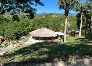 a hut with a grass roof in a field at Villa Gregorio mountain top in Bonao