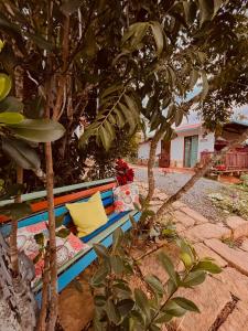 a bench sitting under a tree next to a tree at Villa Paula in Barichara +15 photos