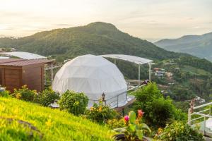 a garden with a white tent on a hill at MonLanna Homesty in Ban Thung Pa Haeo