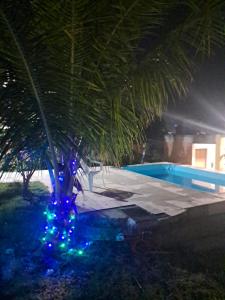 a palm tree with blue lights next to a swimming pool at Casa do sossego in Cabo Frio