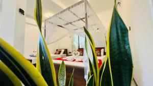 a bedroom with two beds and a plant at Paddy Wind Eco Lodge Sigiriya in Kibissa
