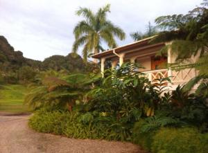 a house with a bunch of plants in front of it at Reserva Monte Sagrado 1 in Utuado