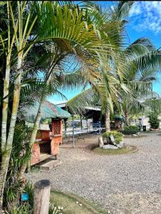 a palm tree next to a building with a table at Ashelma resort in Dauis