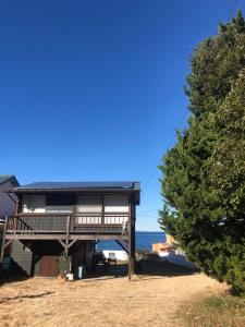 a house on the beach with a tree at Emeraldia in Tateyama