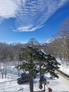 a car parked next to a tree in the snow at Sanso On Snow in Nagano