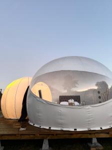 a dome tent is sitting on a table at Hotel Cielo Stellato in Capitán Pastene