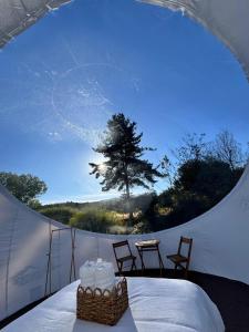 a tent with a table and chairs and a tree at Hotel Cielo Stellato in Capitán Pastene