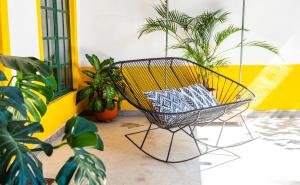 a swinging chair on a porch with plants at Shanti Home in Tepoztlán