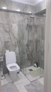 a bathroom with a shower with a toilet at Полёт in Chişinău