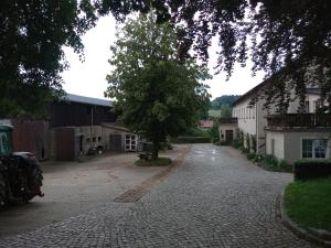 a cobblestone street with a tree and a building at Ferienwohnung Kuhstall in Reinhardtsdorf