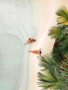 a couple of fish in a pool next to a plant at Kumbara Oasis Lombok in Kuta Lombok