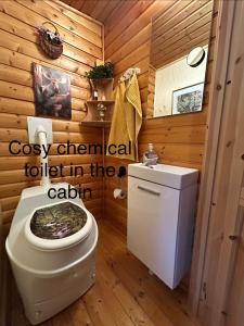 a bathroom with a toilet in the cabin at The Hunters Hill - Cosy private forest retreat in Brålanda +29 photos