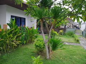 a palm tree in the yard of a house at Giri Homestay in Amed
