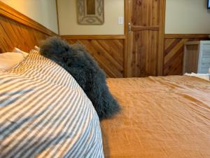 a teddy bear laying on top of a bed at Te Anau Lakefront Backpackers in Te Anau