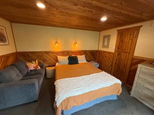 a bedroom with a bed and a couch with a cat on it at Te Anau Lakefront Backpackers in Te Anau +101 photos