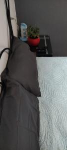 a bed with a pillow and a plant on a table at Casa tabachin in Arandas