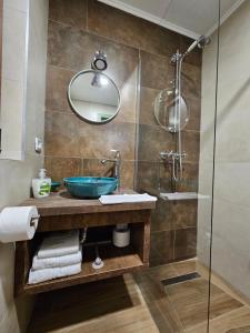 a bathroom with a sink and a shower at Casa din fagi in Munună +41 photos