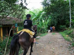 a young boy riding a horse down a dirt road at Ecolodge Rancho del Lago in Santomé