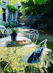 a white dog standing next to a table and chairs at charming guest house in Bolbec +5 photos