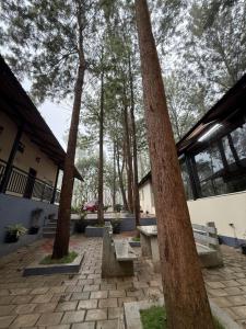 a park with benches and trees and a building at janani ecostay in Chikmagalūr +23 photos