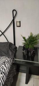 a bedroom with a table with a plant on it at Casa tabachin in Arandas