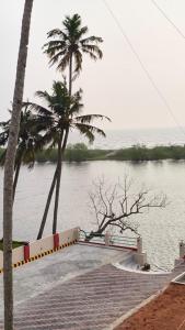 a view of a body of water with two palm trees at Lake Star Beach Resort in Kappil