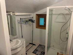 a bathroom with a shower and a sink at Le Chalet in Les Costes-Gozon