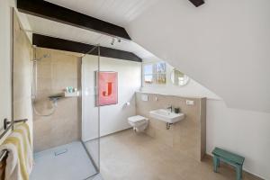 a bathroom with a shower and a toilet and a sink at Landhaus Köhn - Ostholstein in Giekau +24 photos