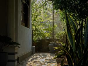 a walkway with plants on the side of a building at Ceylon Vista in Galle