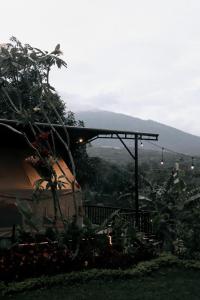 a view of a valley with a mountain in the background at Arjuno Chatten Valley in Punten