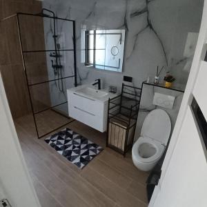 ein Badezimmer mit Toilette, Dusche und Waschbecken in der Unterkunft Avabi Concept in Nenciu + 15 Fotos
