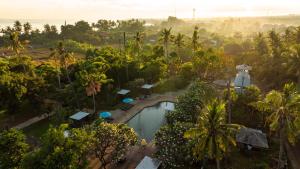 an aerial view of a resort with a pool and trees at Brits Resort Lovina in Lovina