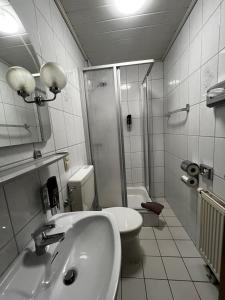 a bathroom with a sink and a toilet and a shower at Brauhaus am See in Oberthulba +29 photos