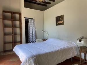 a bedroom with a bed with a blue blanket at Mas Costa in Sant Ferriol