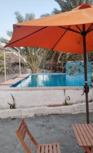 a red umbrella and a chair next to a swimming pool at Hidden Valley GLAMPING in Fujairah +15 photos