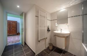 a bathroom with a sink and a mirror and a shower at Le Logis Tournusien in Tournus