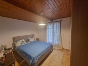 a bedroom with a blue bed and a window at Ektor Villa in Agios Georgios