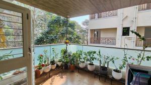 an indoor balcony with potted plants on it at Hideout 2bhk Kharadi Near EON in Pune