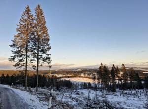 a road with snow and trees on the side of it at Ferienwohnung Am Blessberg in Stelzen in Eisfeld