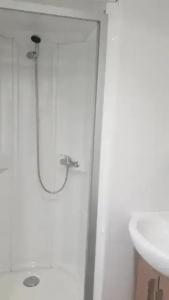 a shower in a bathroom next to a sink at ZEcamping 3 étoiles piscine chauffée toboggans pet friendly locatif TV 8 pers in Saucède