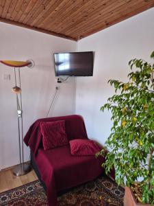 a living room with a purple couch and a plant at Alpaka Bakonya Kisház in Bakonya