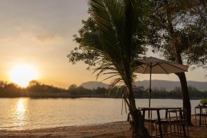 a beach with a palm tree and an umbrella at Sun & Roots Kampot Lodge in Kampot