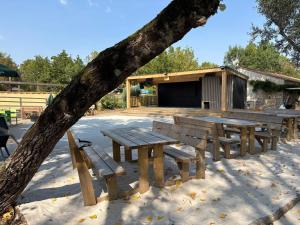 a group of wooden picnic tables and a tree at Mobil home in Angles