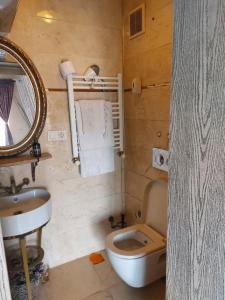 a bathroom with a toilet and a sink and a mirror at AKİDE BUTİK PANSİYON in Mudanya +38 photos