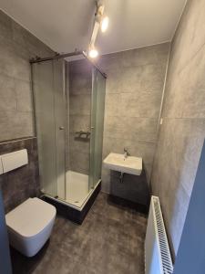 a bathroom with a shower and a toilet and a sink at Gästehaus Ermen in Kamp-Lintfort