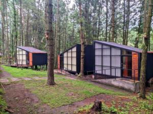 a group of three houses in the woods at Pineforrest in Sukapura