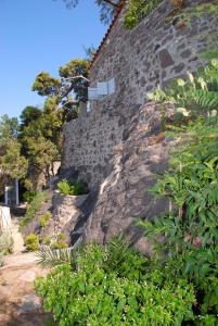 a stone wall with plants on the side of it at Heavens Nest in Mythimna