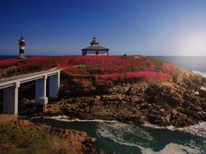 a lighthouse on top of a cliff with flowers at Apartamentos Shalom Ribadeo in Ribadeo