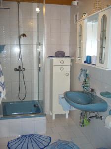 La salle de bains est pourvue d'un lavabo bleu et d'une douche. dans l'établissement Ferienwohnung Heidelsteinblick, à Schönau an der Brend
