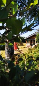 a house with a picnic table and a tree at Le Petit Idéal in Leykaul